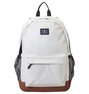 DC Backsider Core 20L Medium Men Backpacks Silver | US-9123SBD