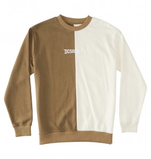 DC Baseline Men Sweatshirt Brown | US-0957YQO