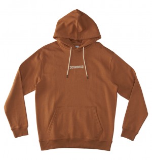 DC Baseline Ph Men Hoodie Brown | US-0346LXI