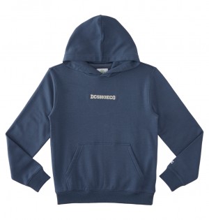 DC Baseline Pullover Kids' Hoodie Indigo | US-2860IGN