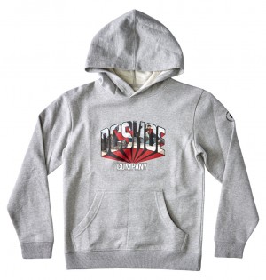 DC Blabac Jahmir Kids' Hoodie Grey | US-6091PIS