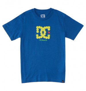 DC Bookworm Kids' T-Shirt Blue | US-6591JRT