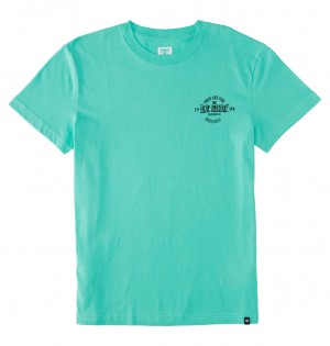 DC Chain Gang Men T-Shirt Green | US-8739YPU