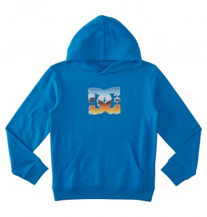 DC Chrome Pullover Kids' Hoodie Blue | US-6531ROL