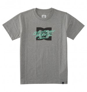 DC Flyer Kids' T-Shirt Grey | US-7146LVA