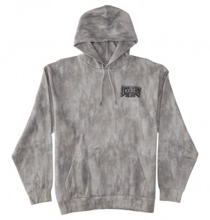 DC Hangar Ph Men Hoodie Grey | US-5731HNX