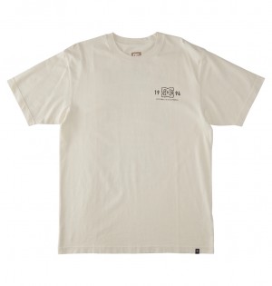 DC High Rise Men T-Shirt White Wash | US-4512DBW