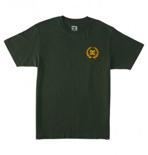 DC Lifes Changing Men T-Shirt Green | US-3845ZVS