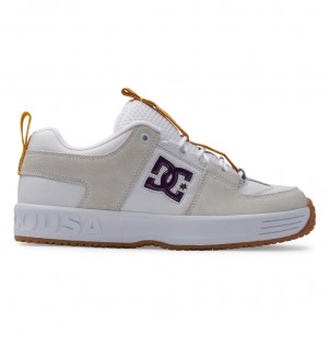 DC Lynx OG Men Skate Shoes White / Purple | US-9501EUD