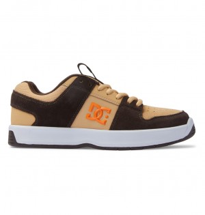 DC Lynx Zero Men Skate Shoes Brown / Orange | US-6780EUB