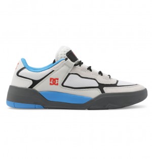 DC Metric Le Leather Men Sneakers Blue / White | US-6079NMT