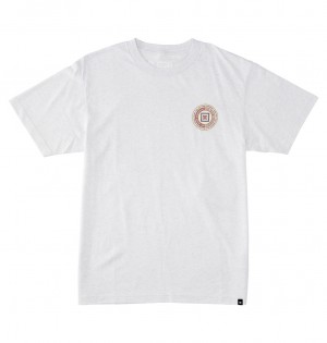 DC Old Head Men T-Shirt White | US-3165OGL