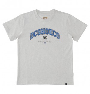 DC Orientation Kids' T-Shirt White | US-1239YZC