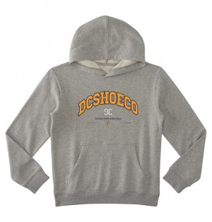 DC Orientation Pullover Kids' Hoodie Grey | US-0732PBL