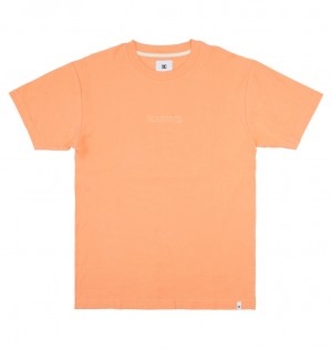 DC Raddled Crew Men T-Shirt Orange | US-8032HDT