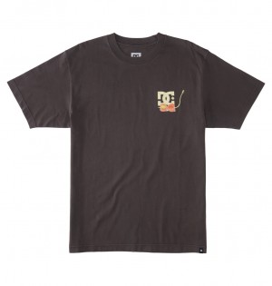 DC Seed Planter Men T-Shirt Black Wash | US-3594WMK