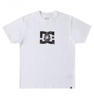 DC Shatter Men T-Shirt White | US-5267CBJ