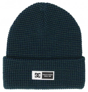 DC Sight Men Beanie Green | US-3604VLX