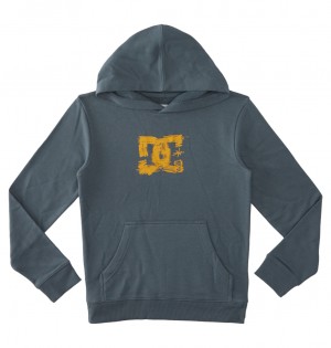 DC Sketchy Pullover Kids' Hoodie Green | US-6938AYQ