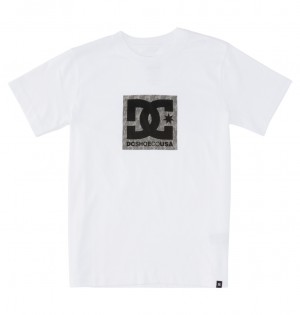 DC Square Star Fill Short Sleeve Kids' T-Shirt White | US-9425OCZ