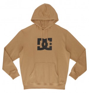 DC Star Men Hoodie Brown | US-4019DEQ