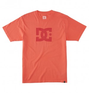 DC Star Men T-Shirt Coral Wash | US-5732BHO