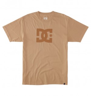 DC Star Men T-Shirt Wash | US-5830NYQ