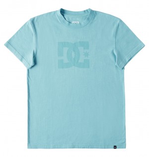 DC Star Pigment Dye Men T-Shirt Wash | US-3095HLN