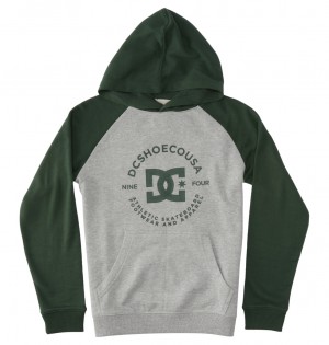 DC Star Pilot Kids' Hoodie Grey | US-6492HSB