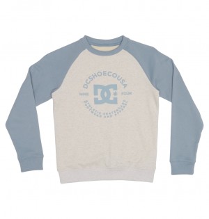 DC Star Pilot Kids' Sweatshirt White / Blue | US-7159IBF