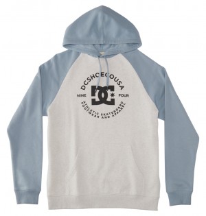 DC Star Pilot Men Hoodie White / Blue | US-8795WBS