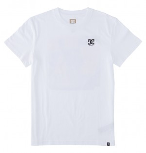 DC Statewide Men T-Shirt White | US-1206TEV