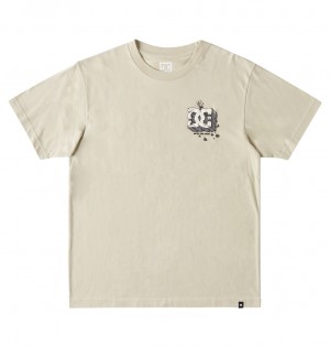 DC Still Here Men T-Shirt Overcast | US-7951QIR