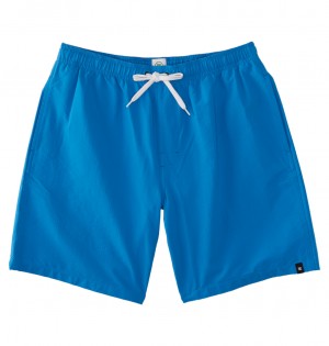 DC Stryker 18" Walk Men Shorts Blue | US-8536RQE