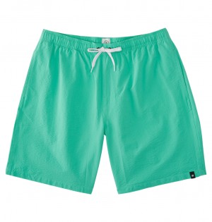 DC Stryker 18" Walk Men Shorts Green | US-4521UZF