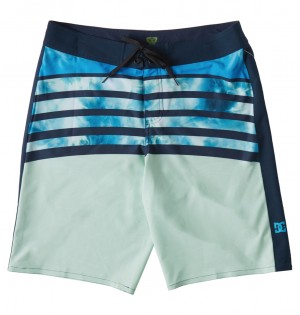 DC Tight Lock Board Men Shorts Green Blue | US-9148NRA