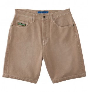 DC Worker Baggy 19.5" Worker Denim Men Shorts Brown | US-0462LPN