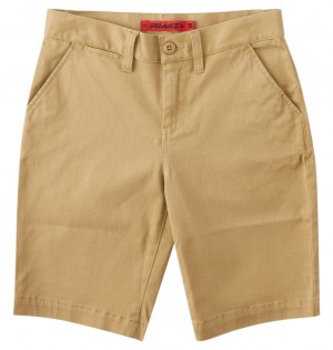 DC Worker Relaxed Chino Kids' Pants Brown | US-9108FDB