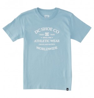 DC World Renowed Kids' T-Shirt Blue | US-8690OLC