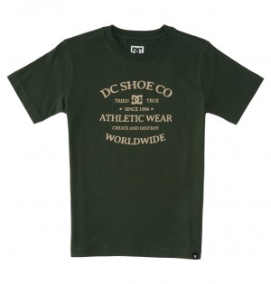 DC World Renowed Kids' T-Shirt Green | US-1682XTY