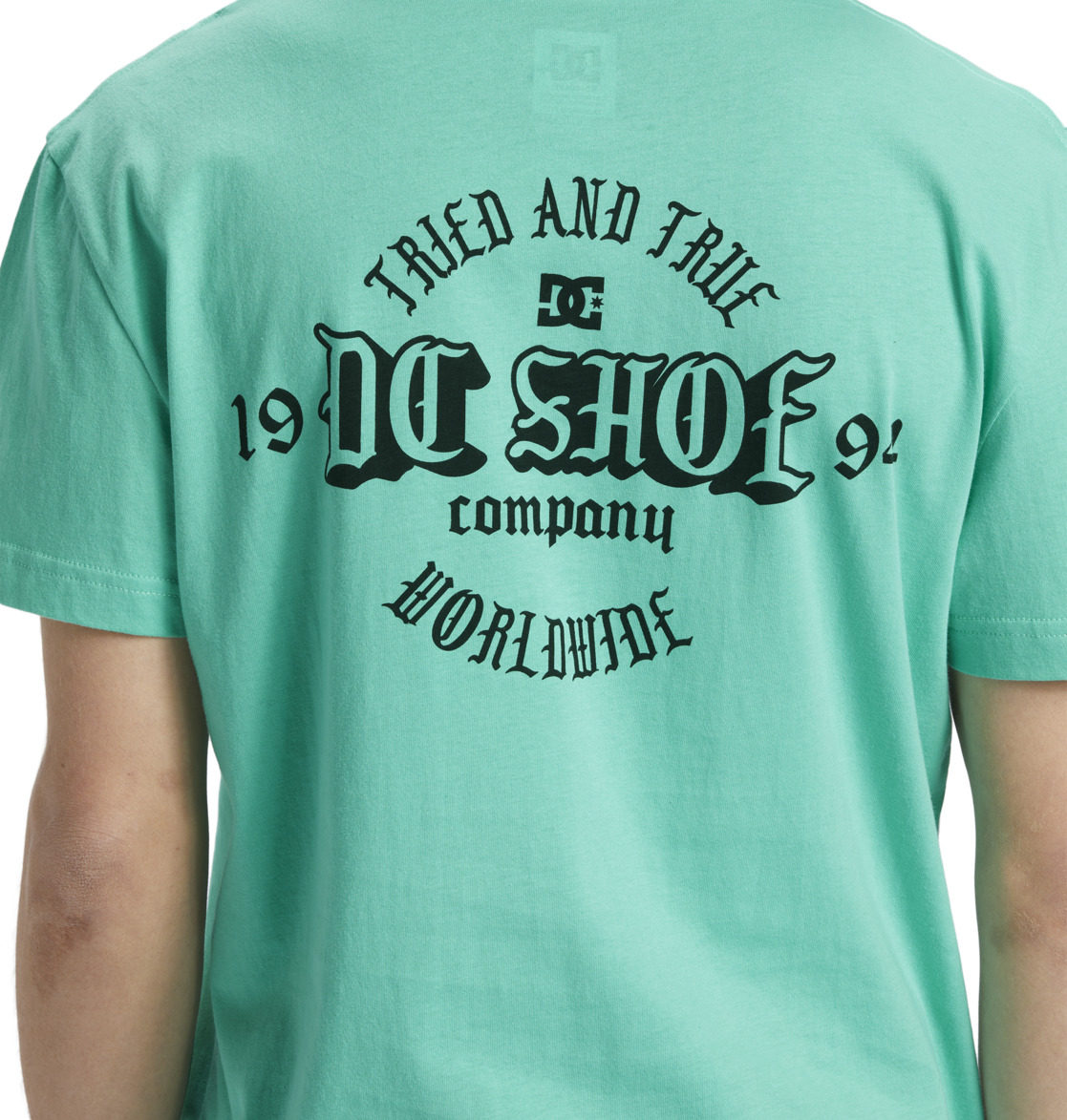 DC Chain Gang Men T-Shirt Green | US-8739YPU