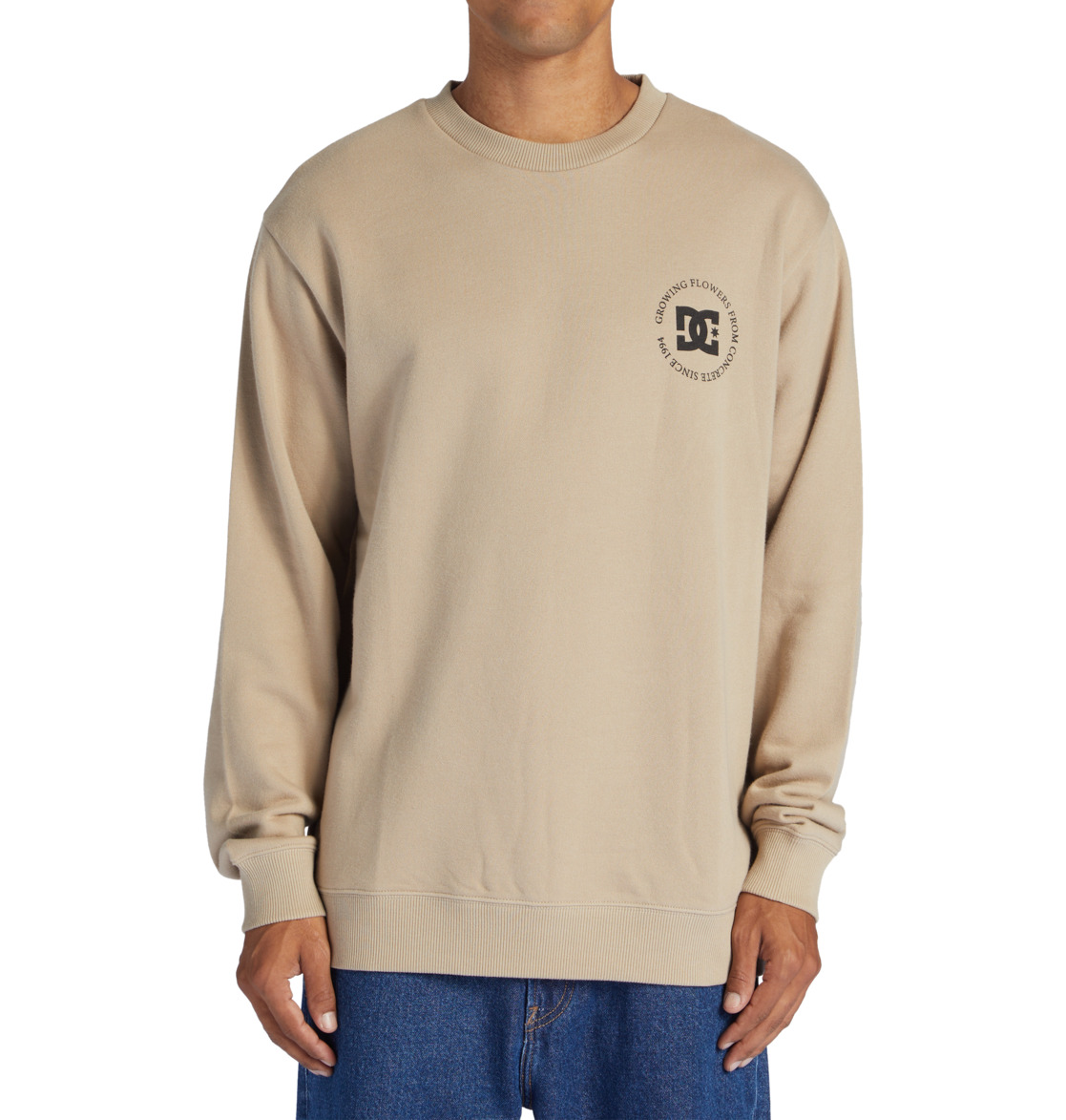 DC Concrete Men Sweatshirt Grey Brown | US-0328ONF