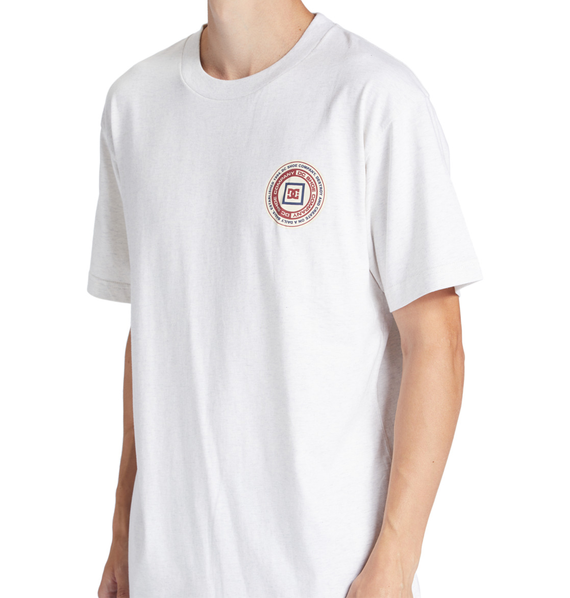 DC Old Head Men T-Shirt White | US-3165OGL