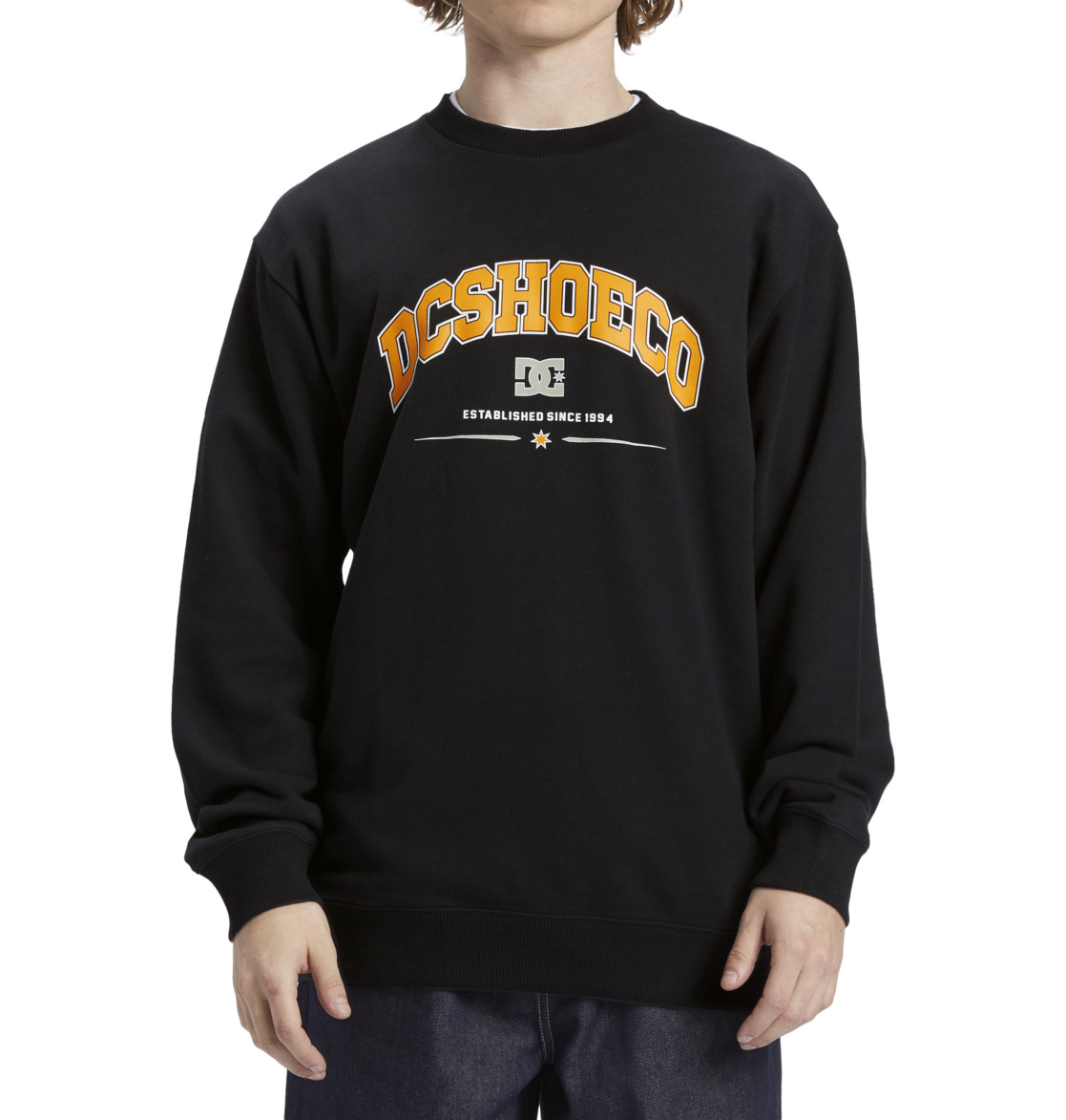 DC Orientation Men Sweatshirt Black | US-2563EAH