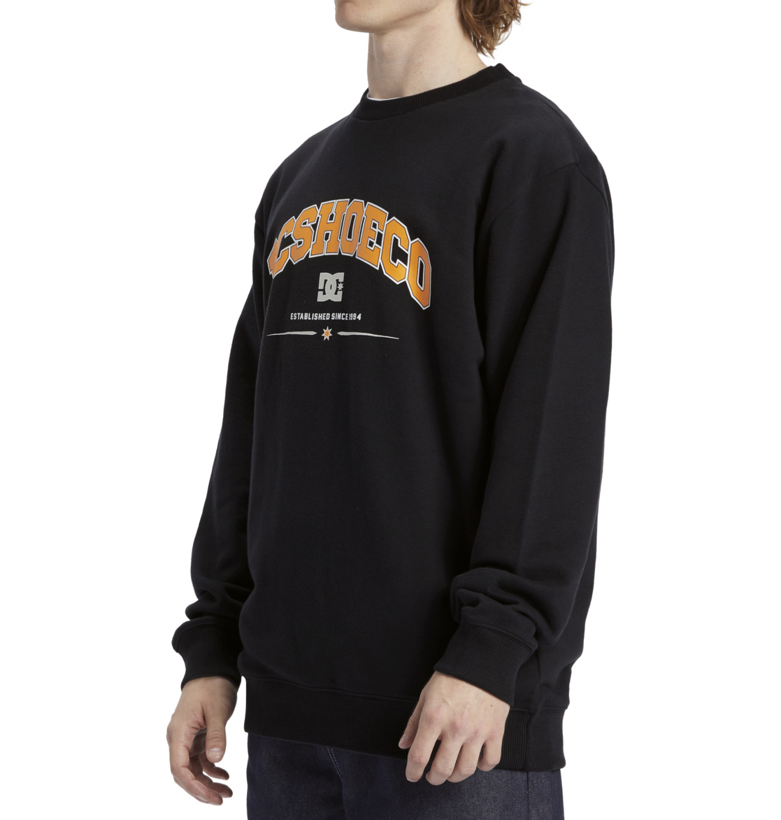 DC Orientation Men Sweatshirt Black | US-2563EAH