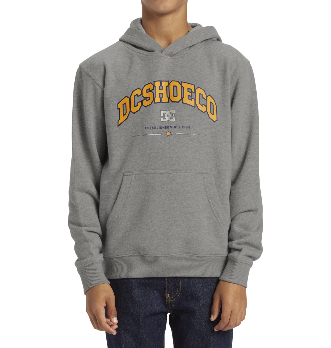 DC Orientation Pullover Kids' Hoodie Grey | US-0732PBL