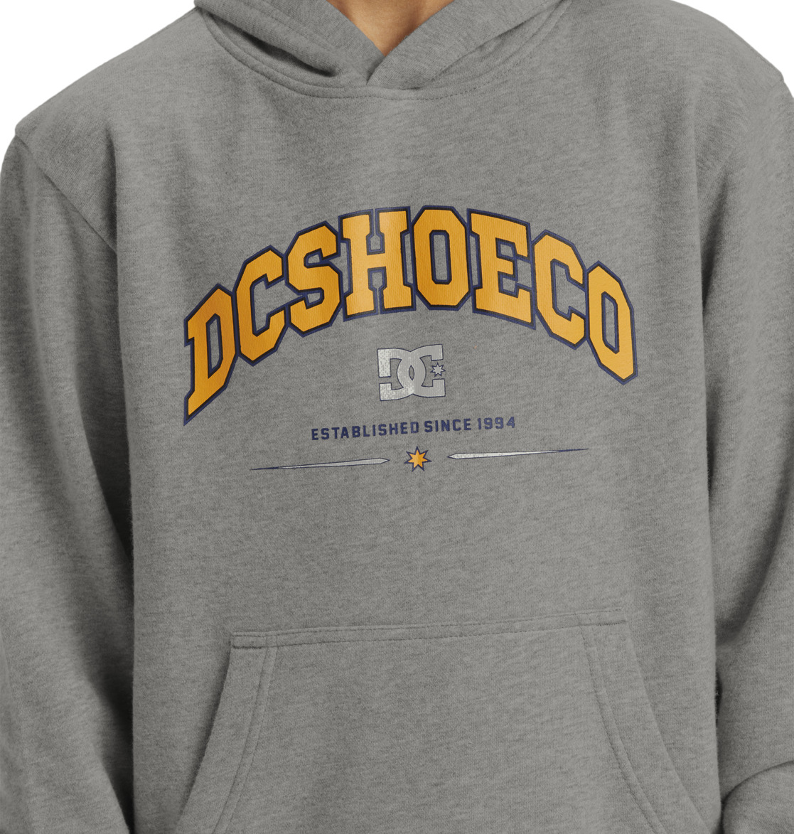 DC Orientation Pullover Kids' Hoodie Grey | US-0732PBL