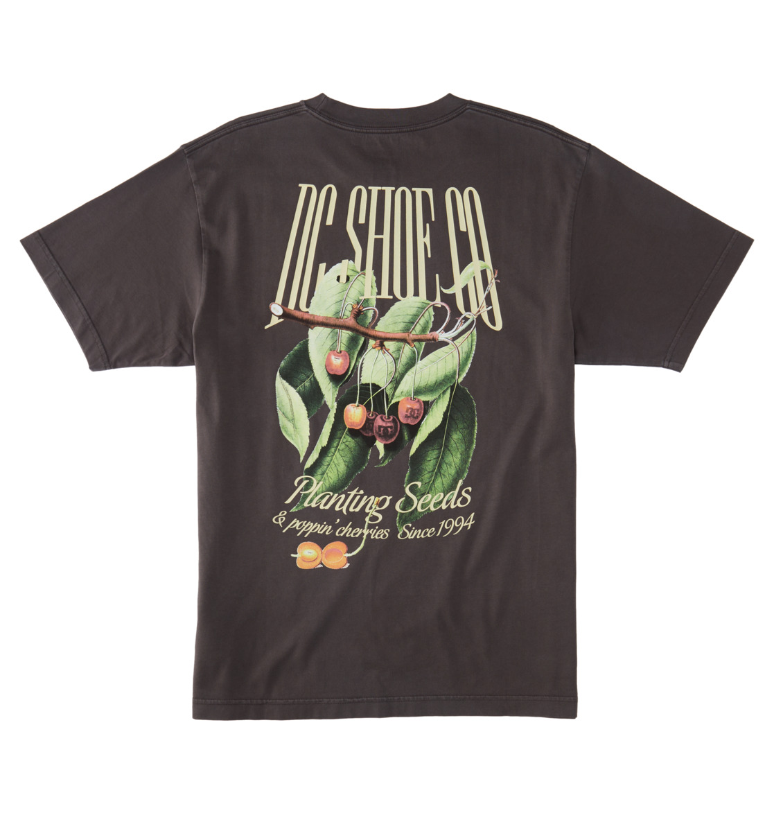 DC Seed Planter Men T-Shirt Black Wash | US-3594WMK