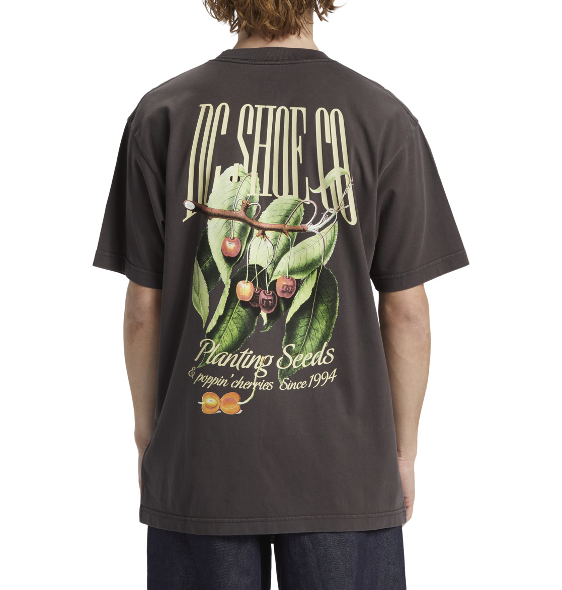 DC Seed Planter Men T-Shirt Black Wash | US-3594WMK