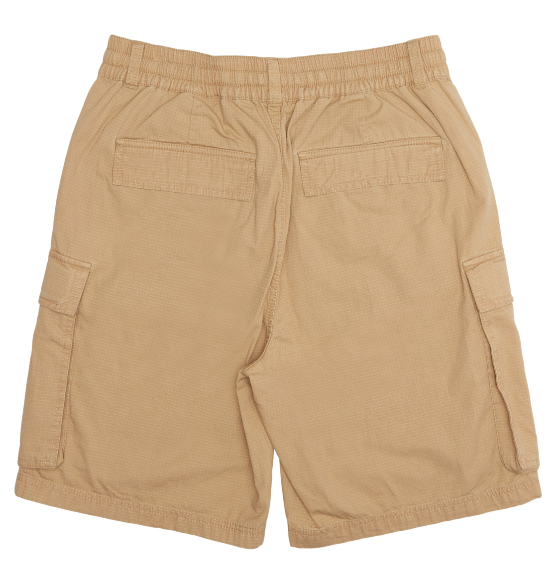 DC Tundra Cargo Men Shorts Brown | US-9043FYE